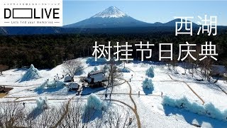 【D-LIVE】 西湖树挂节日庆典