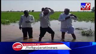 Water of breached canal washed away crops in Surendranagar's Patdi