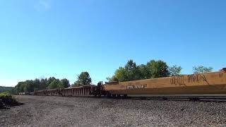 NS 25M Baretable Train Outside Columbiana, OH  7/12/2018