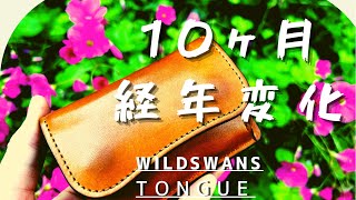 WILDSWANS TONGUE（タング）10ヶ月後の経年変化について