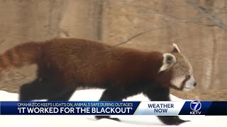 Omaha Zoo keeps lights on, animals safe during power outages