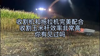 收割机和拖拉机完美配合，收割玉米杆效率非常高，你有见过吗