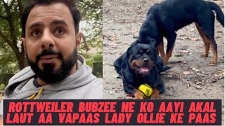 Rottweiler Bubzee Ko Finally Aa Gayi Akal: Lady Ollie Maangi Maafi | Namitaology