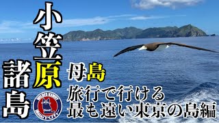 人口450人の島へ行く/絶景 小笠原/母島 島内観光編【Island Series #5】