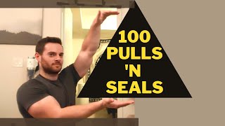 Arm Assault! 100 Pull-ups and 100 Navy Seals