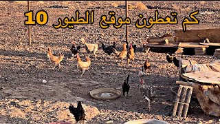 #فلوق رايكم في موقع الطيور 🦢🕊🐓🦃