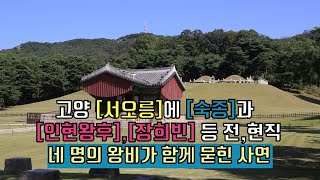 [제10화]숙종과 [인현왕후], [장희빈] 등 전, 현직 4명의 왕비 이야기 #서오릉