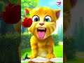 talking ginger funny videos || 🙀🐈😻😹