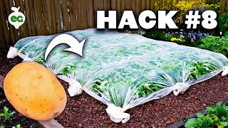 8 Potato Growing Hacks That Actually Work 🥔💯