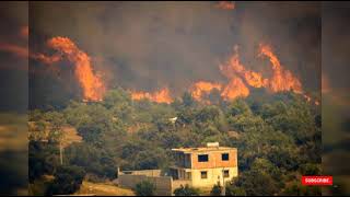 Ma Kabylie Brûlé 🔥🔥Images Tristes 😢😭💔 #kabylie #incendie #Tizi-ouzou