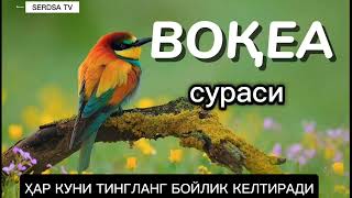 ВОКЕА СУРАСИ БОЙЛИК КЕЛТИРУВЧИ СУРА МУАММОЛАРИНГИЗ ХАЛ БУЛАДИГАН ЖУДА ГУЗАЛ КИРОАТ,