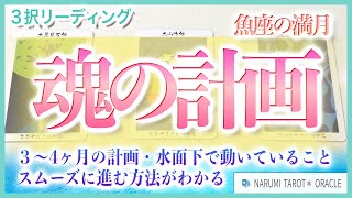 近未来のあなたの魂の計画がわかる🌟何が水面下で動いているのか？クリアするためのアドバイス【魚座の満月🌕スーパームーン タロット＆オラクルリーディング】《カード占い🔮✨》