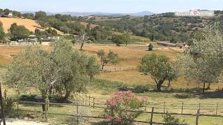 Agriturismo Antico Casale di Scansano