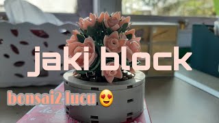 Random Hobby | Jaki Block | Potted Plants Series