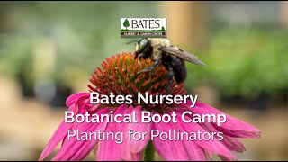 Planting for Pollinators - Fall Blooming Perennials