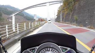 マジェスティS SP　国道140号　道の駅あらかわ～雷電廿六木橋～大峰トンネル入口　彩甲斐街道　20151122　HX-A500