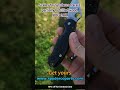 scales for spyderco para 3 partially petrified wood bog oak