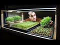 How to grow microgreens at home - From start to finish