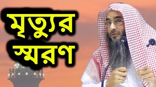 মৃত্যুর স্মরণ | শাইখ মতিউর রহমান মাদানী | Prithibir Sokol Sad Nosto Kari | Motiur Rahman Madani