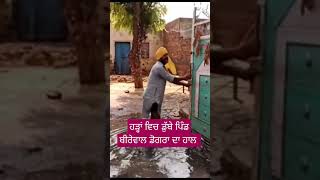 ਹੜ੍ਹਾਂ ਵਿਚ ਡੁੱਬੇ ਪਿੰਡ ਦੇ ਲੋਕ #flood #punjab #mansa #budhlada #bhagwantmann #news #chandpura #fact