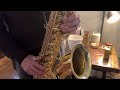 yanagisawa t 880 tenor saxophone demo www.dcsax.com