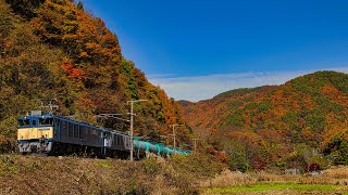 2021年11月中央西線EF64貨物列車撮影集