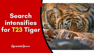 Search intensifies for T23, TN Forest dept encircles tiger zone | ETV Bharat