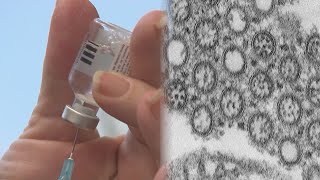 Panel of experts recommends a new flu shot formula recommended this year