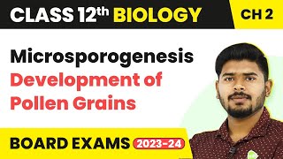 Microsporogenesis Development of Pollen Grains - Sexual Reproduction in Flowering Plants | Class 12