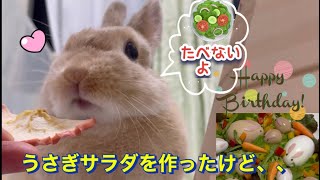 【うさぎサラダ】可愛いうさぎさんの１歳の誕生日にウサギサラダを作りました🥗🐰　#ネザーランドドアーフ　#bunny @ミッフィーとうさぎ#うさぎサラダ