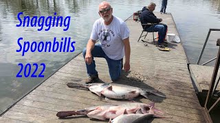 Spoonbill Snagging Warsaw Missouri 2022