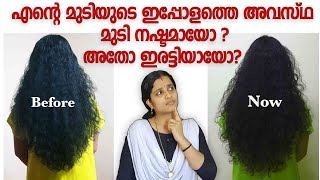 എന്റെ മുടിയുടെ ഇപ്പോളത്തെ അവസ്ഥ|മുടി ഇരട്ടി ആയോ അതോ കൊഴിഞ്ഞുപോയോ | എന്താണ് എന്നും വീഡിയോ ഇടാത്തത്