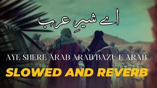 Aye shere arab bazu e arab slowed reverb/Ali YaAli Manqabat2024