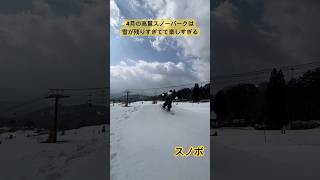 【暖冬どっか行った】岐阜県にある高鷲スノーパークが雪が残りすぎてて4月末まで楽しめそう！ #shorts