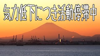 2021年大晦日、いけぽんの近況報告です。