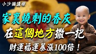 家裡有燒剩的香灰嗎？快在「這個地方」撒一把，福報財運暴漲100倍！功德實在太殊勝了#小沙彌講禪 #佛教 #佛法 #阿弥陀佛  #南無阿彌陀佛  #菩薩 #佛學  #佛陀