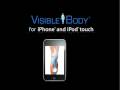 Visible Body iPhone and iPod touch Solutions