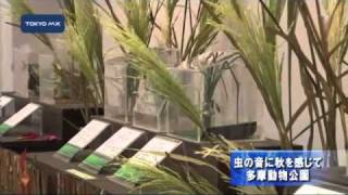 虫の音に秋を感じて　多摩動物公園