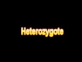 What Is The Definition Of Heterozygote - Medical Dictionary Free Online Terms