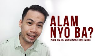 VLOG # 5: Did You Know | Mga Nakakatuwang Trivia