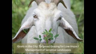 Goats in the City:  Targeted Grazing for Low Impact Management