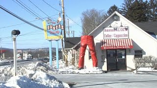 Chip, the beloved mascot of The Inside Scoop, falls victim to strong winds
