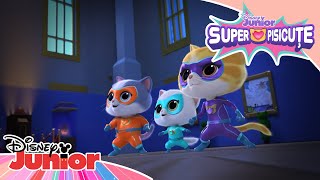 🐈‍⬛ Pisica hoață | Super Pisicuțe | Disney Junior România