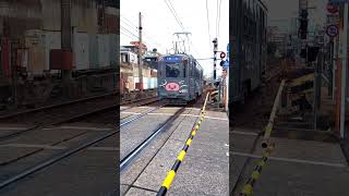 【鹿児島市電601号】【南港踏切】を通過します。　　#shorts #路面電車 #tram