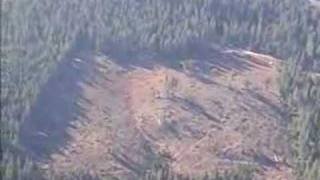 Clearcutting Kills Forests