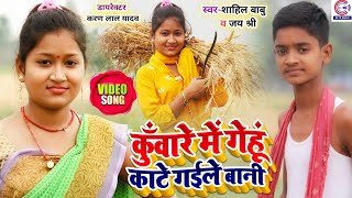 #Video​ | कुँवारे मे गेहूं काटे गईल बानी | #Sahil Babu, #Jayshree चईत गाना Bhojpuri Chaita Song 2024