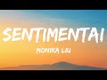 Monika Liu - Sentimentai (Lyrics) Lithuania 🇱🇹 Eurovision 2022