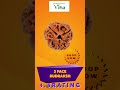 divine u0026 authentic viha 3 face rudraksha viha rudraksha collection anitha kuppusamy viha