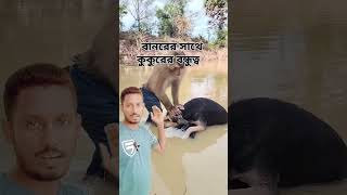 বানরের সাথে কুকুরের বন্ধুত্ব দেখে আমি তো অবাক #funny #shorts #youtube #monkey #dog #subscribe