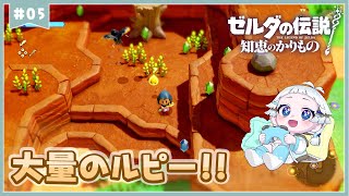 【 ゼルダの伝説｜#05 】大量のルピー！？